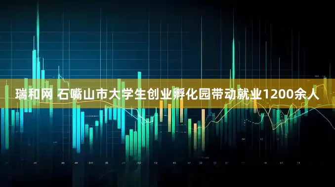 瑞和网 石嘴山市大学生创业孵化园带动就业1200余人